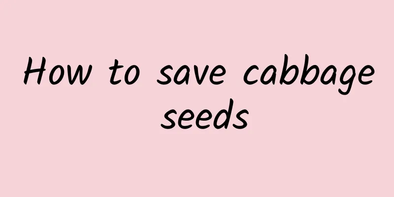 How to save cabbage seeds
