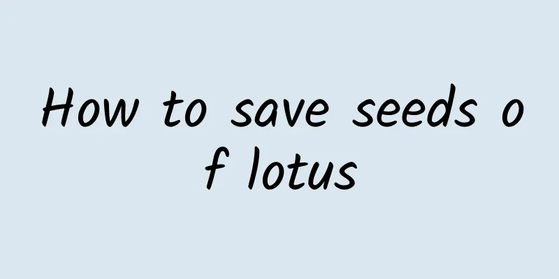 How to save seeds of lotus