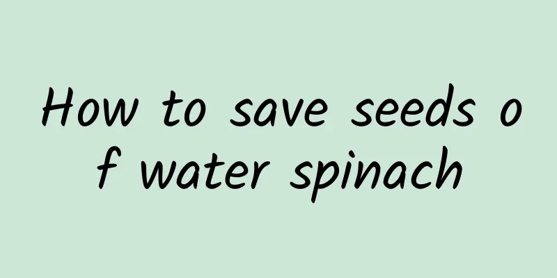 How to save seeds of water spinach