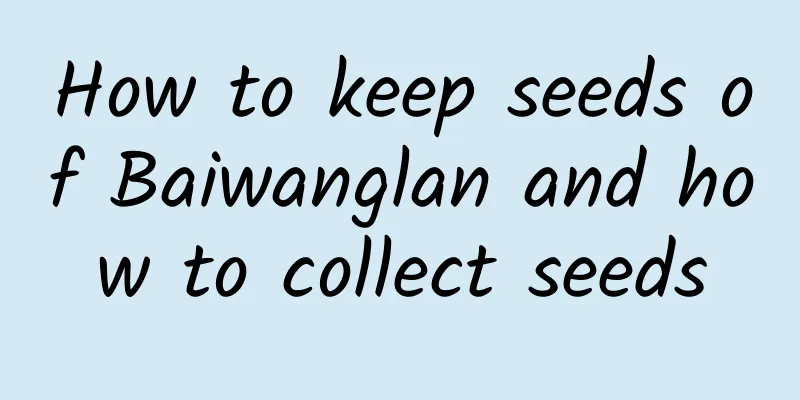 How to keep seeds of Baiwanglan and how to collect seeds