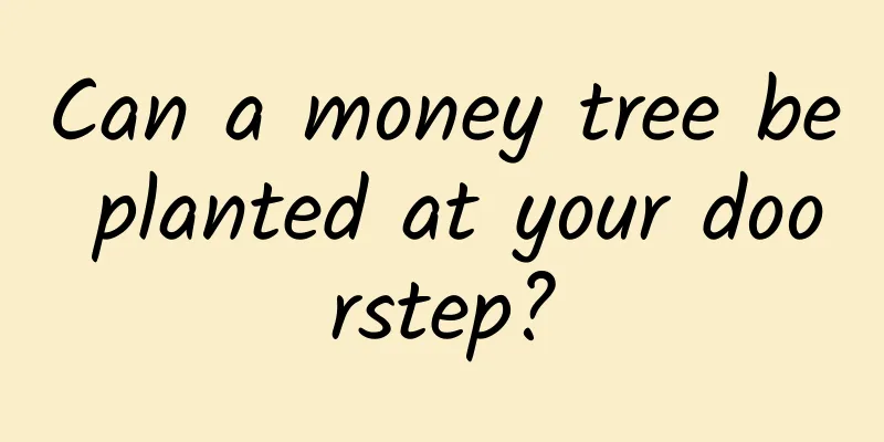 Can a money tree be planted at your doorstep?