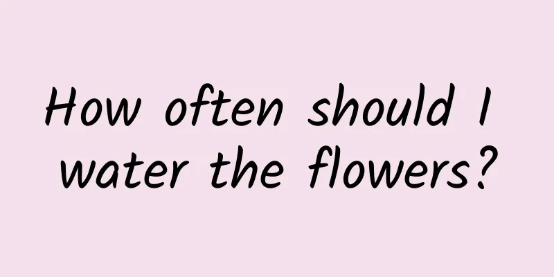 How often should I water the flowers?