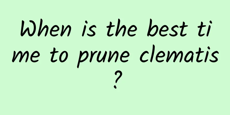 When is the best time to prune clematis?
