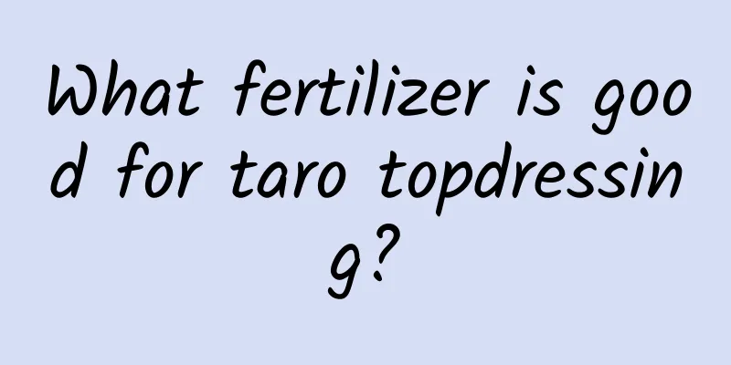What fertilizer is good for taro topdressing?