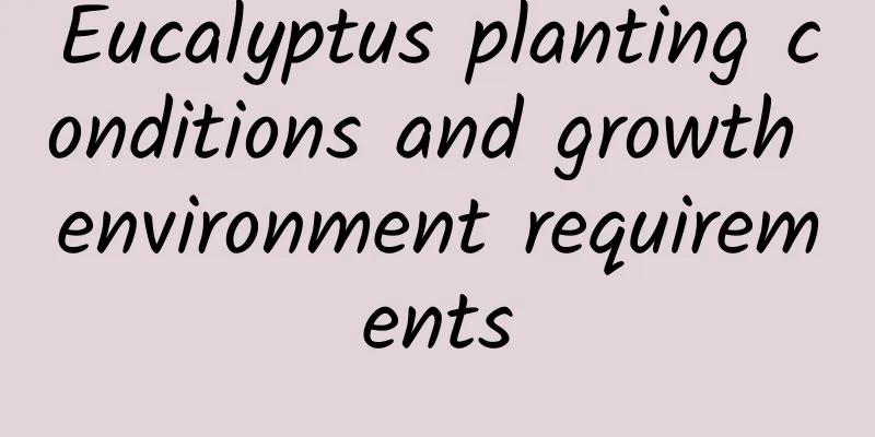 Eucalyptus planting conditions and growth environment requirements