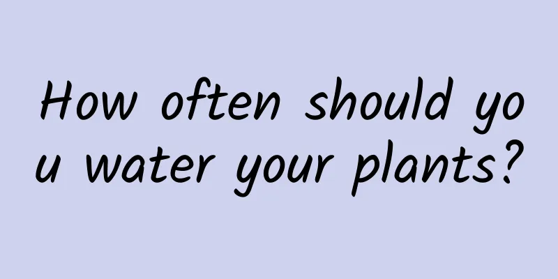 How often should you water your plants?