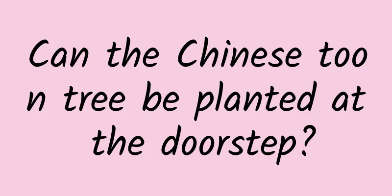 Can the Chinese toon tree be planted at the doorstep?