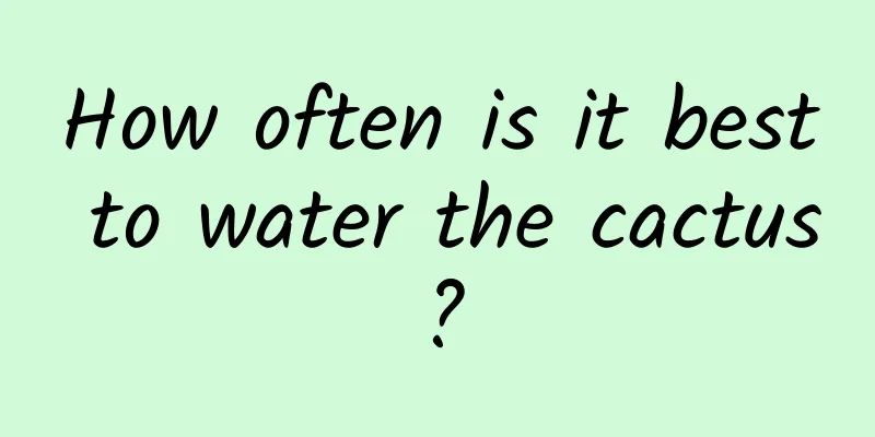 How often is it best to water the cactus?