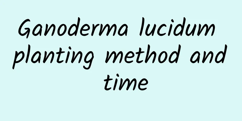 Ganoderma lucidum planting method and time