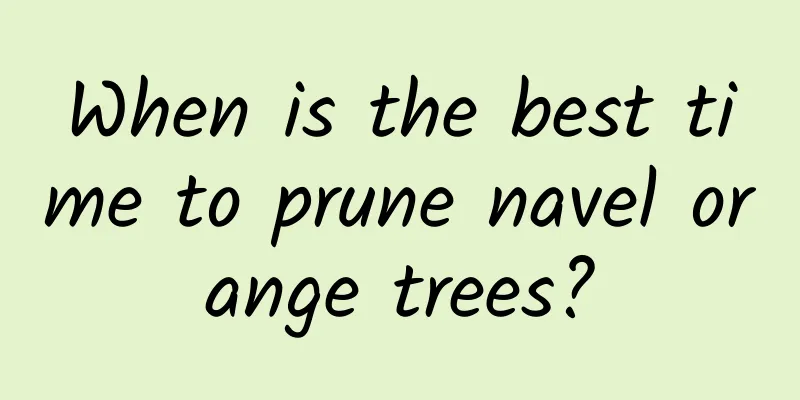 When is the best time to prune navel orange trees?