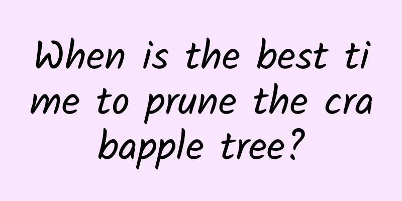 When is the best time to prune the crabapple tree?