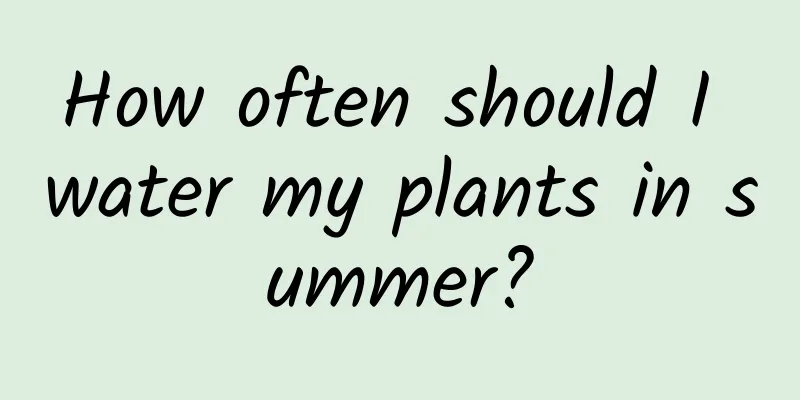 How often should I water my plants in summer?