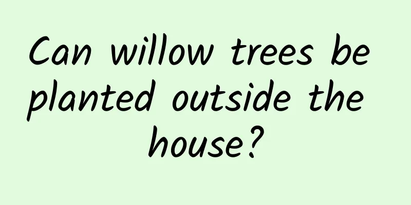 Can willow trees be planted outside the house?