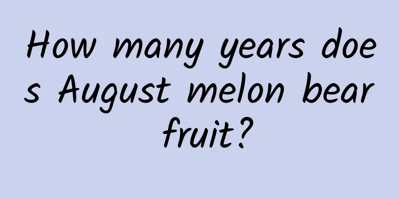 How many years does August melon bear fruit?