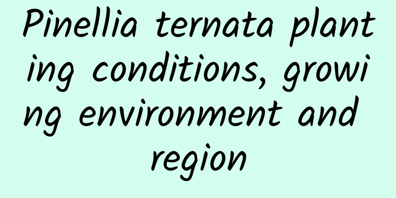 Pinellia ternata planting conditions, growing environment and region