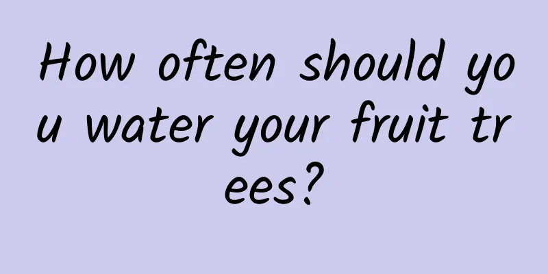 How often should you water your fruit trees?
