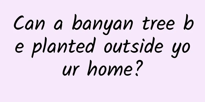 Can a banyan tree be planted outside your home?