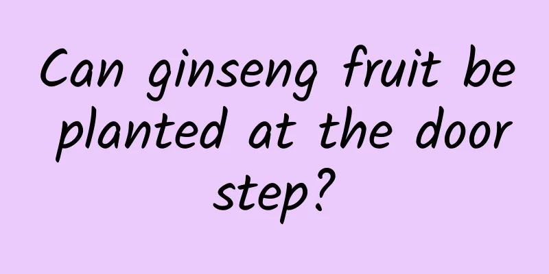 Can ginseng fruit be planted at the doorstep?