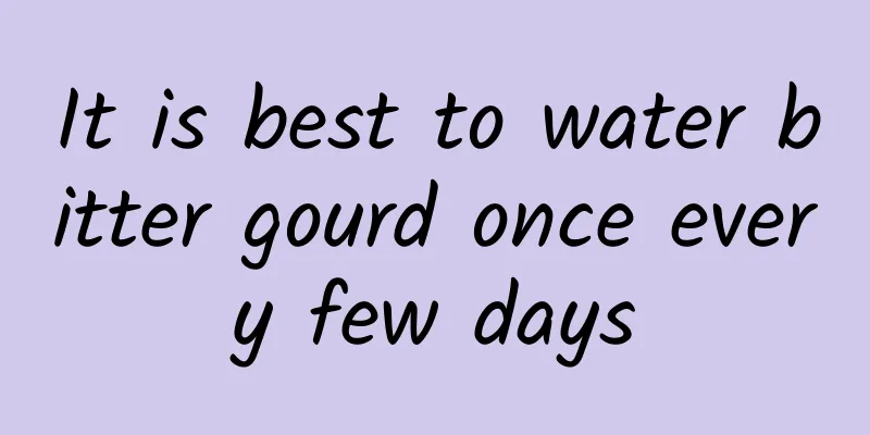 It is best to water bitter gourd once every few days