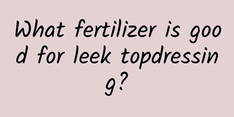 What fertilizer is good for leek topdressing?