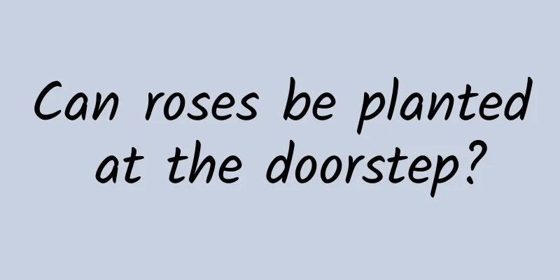 Can roses be planted at the doorstep?