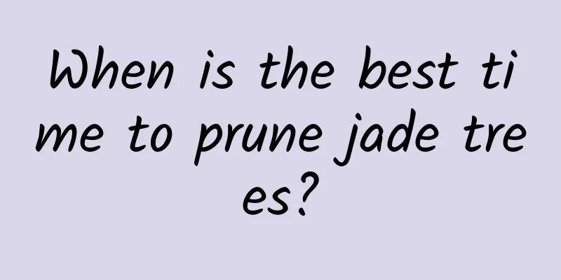When is the best time to prune jade trees?