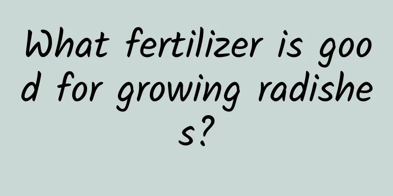 What fertilizer is good for growing radishes?