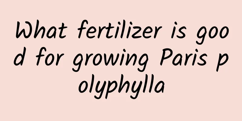 What fertilizer is good for growing Paris polyphylla