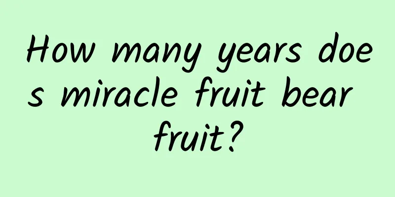 How many years does miracle fruit bear fruit?