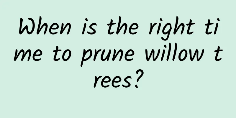 When is the right time to prune willow trees?