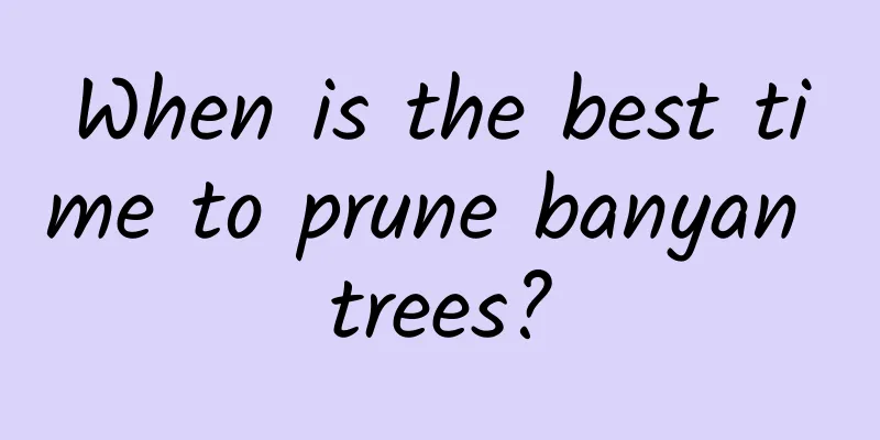 When is the best time to prune banyan trees?
