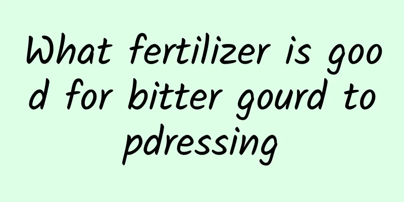 What fertilizer is good for bitter gourd topdressing