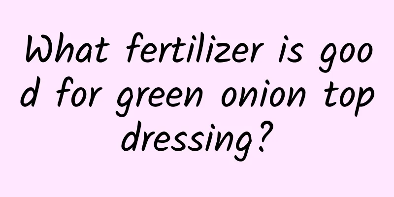 What fertilizer is good for green onion topdressing?