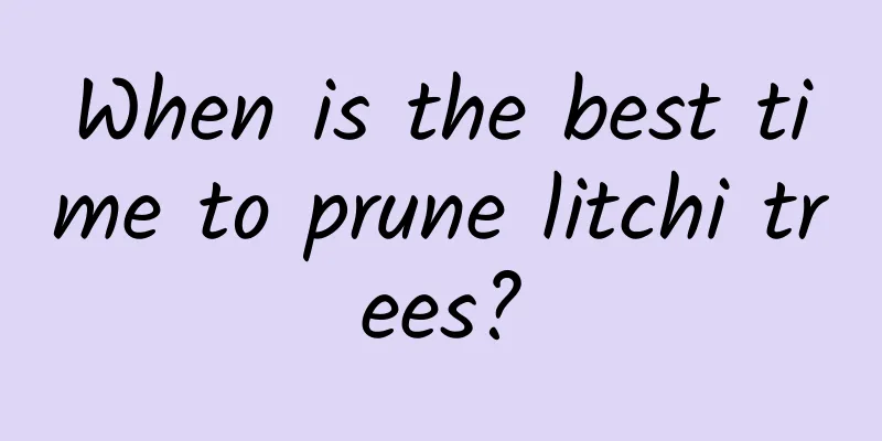 When is the best time to prune litchi trees?