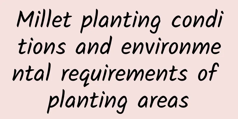 Millet planting conditions and environmental requirements of planting areas