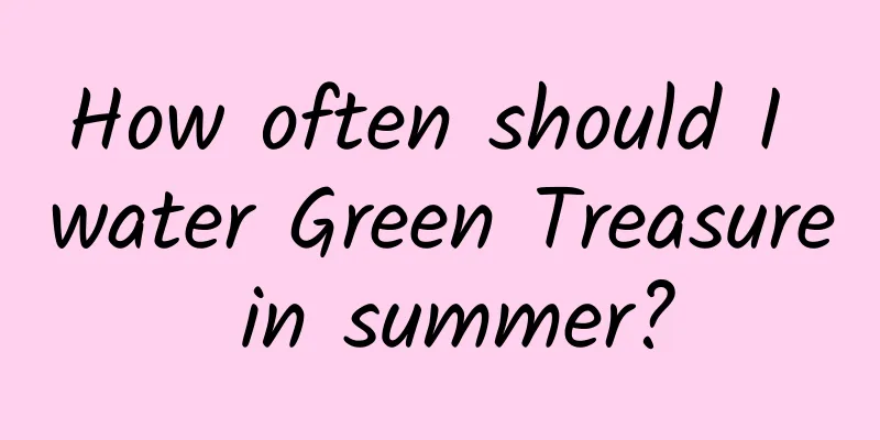 How often should I water Green Treasure in summer?