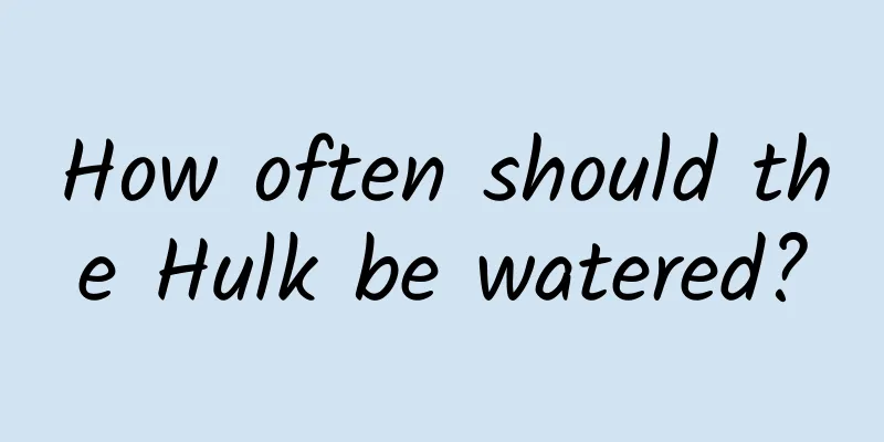 How often should the Hulk be watered?