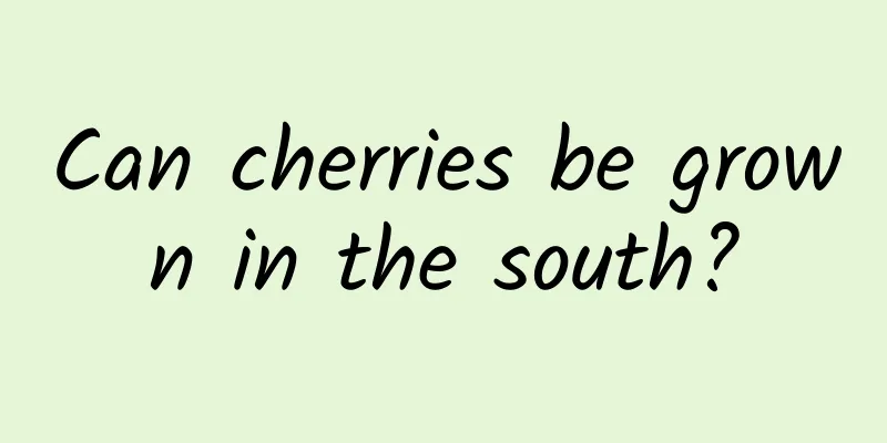 Can cherries be grown in the south?