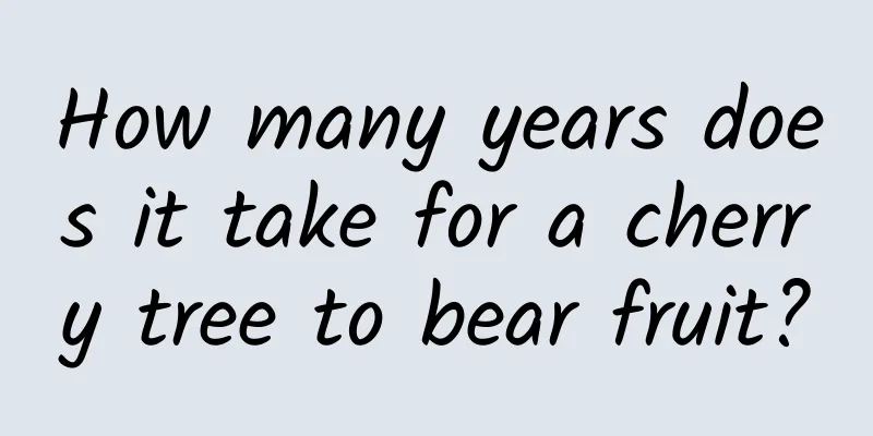 How many years does it take for a cherry tree to bear fruit?