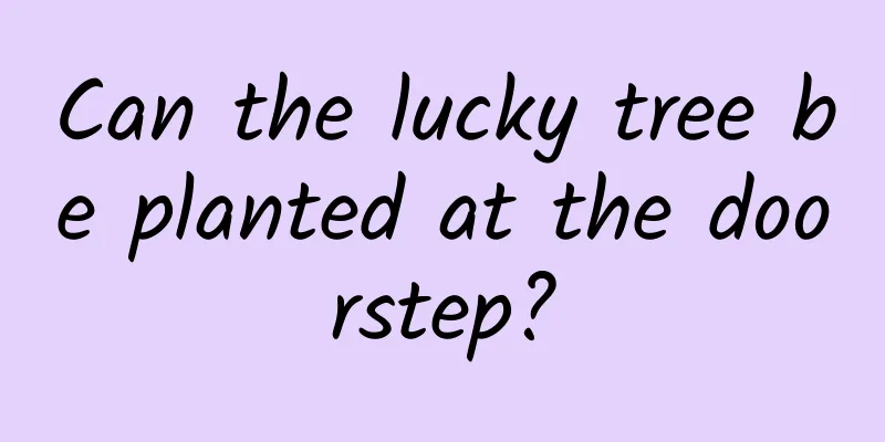 Can the lucky tree be planted at the doorstep?