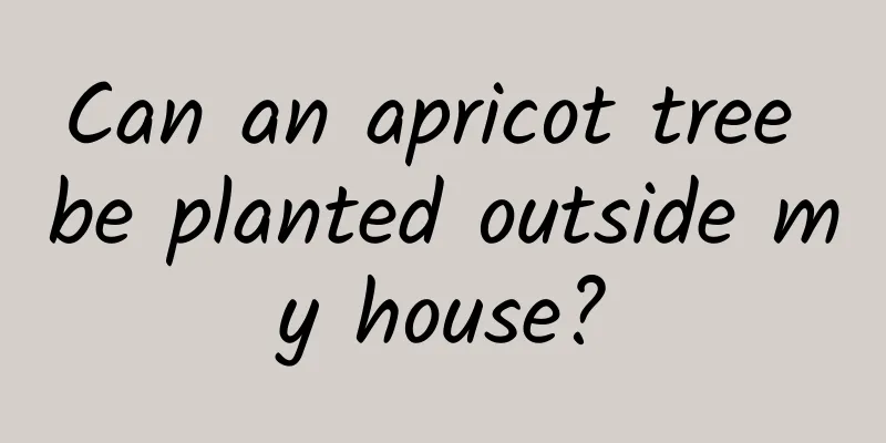 Can an apricot tree be planted outside my house?