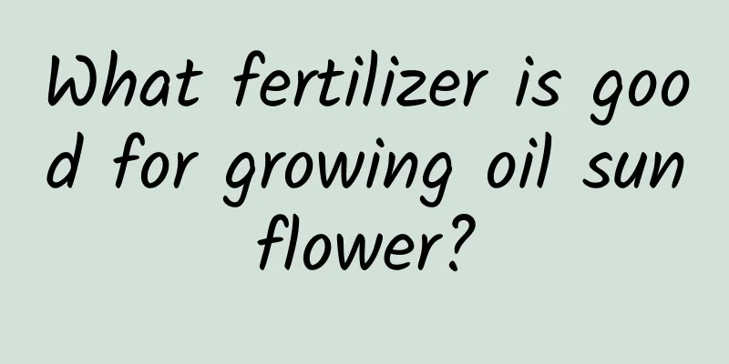 What fertilizer is good for growing oil sunflower?