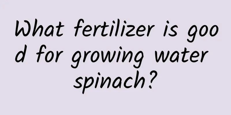 What fertilizer is good for growing water spinach?