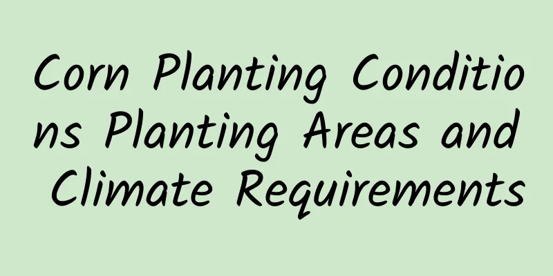 Corn Planting Conditions Planting Areas and Climate Requirements