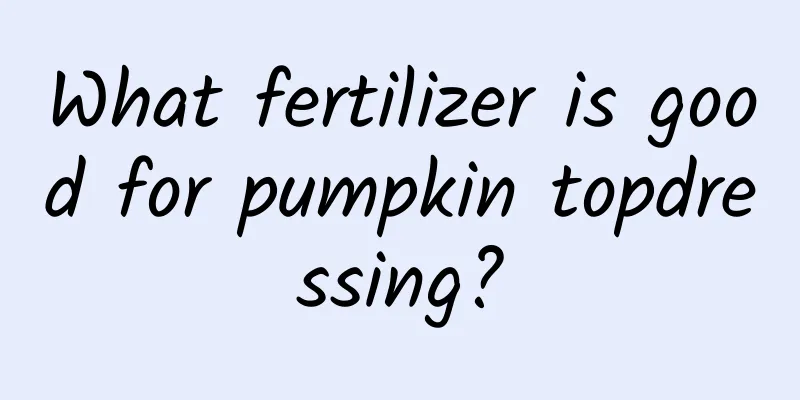 What fertilizer is good for pumpkin topdressing?