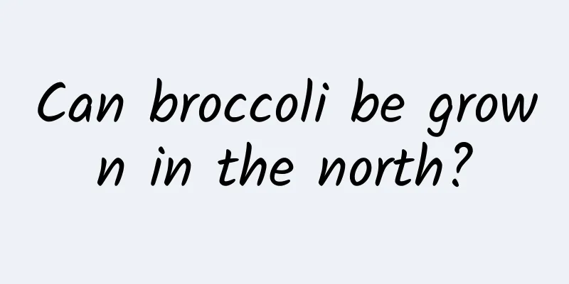 Can broccoli be grown in the north?