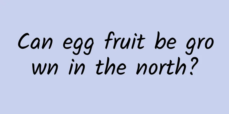 Can egg fruit be grown in the north?