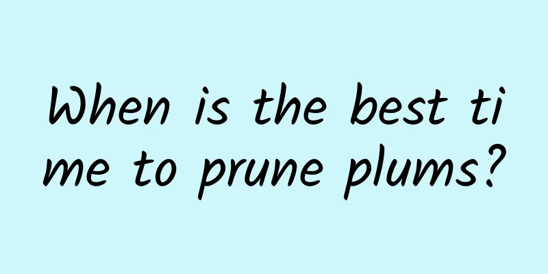 When is the best time to prune plums?