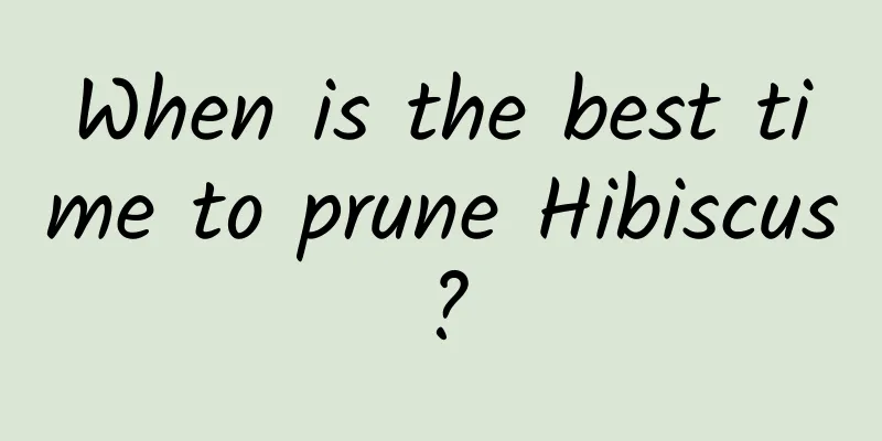 When is the best time to prune Hibiscus?