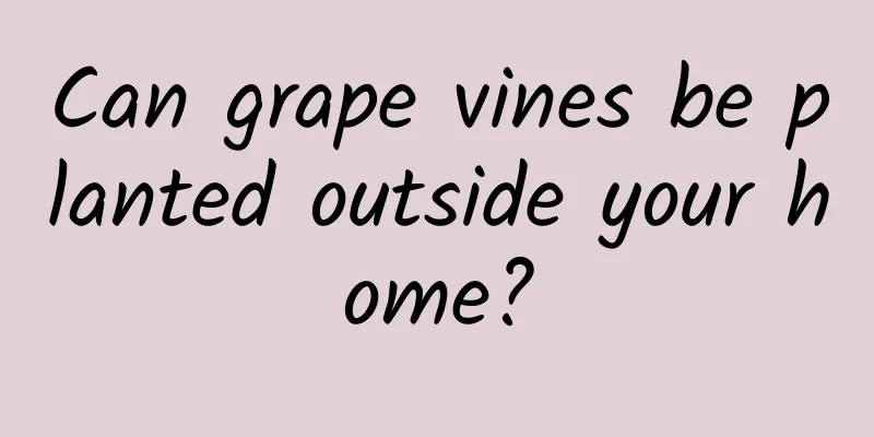 Can grape vines be planted outside your home?